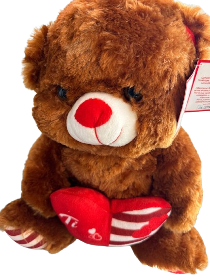 TEDDY BEAR WITH HEART