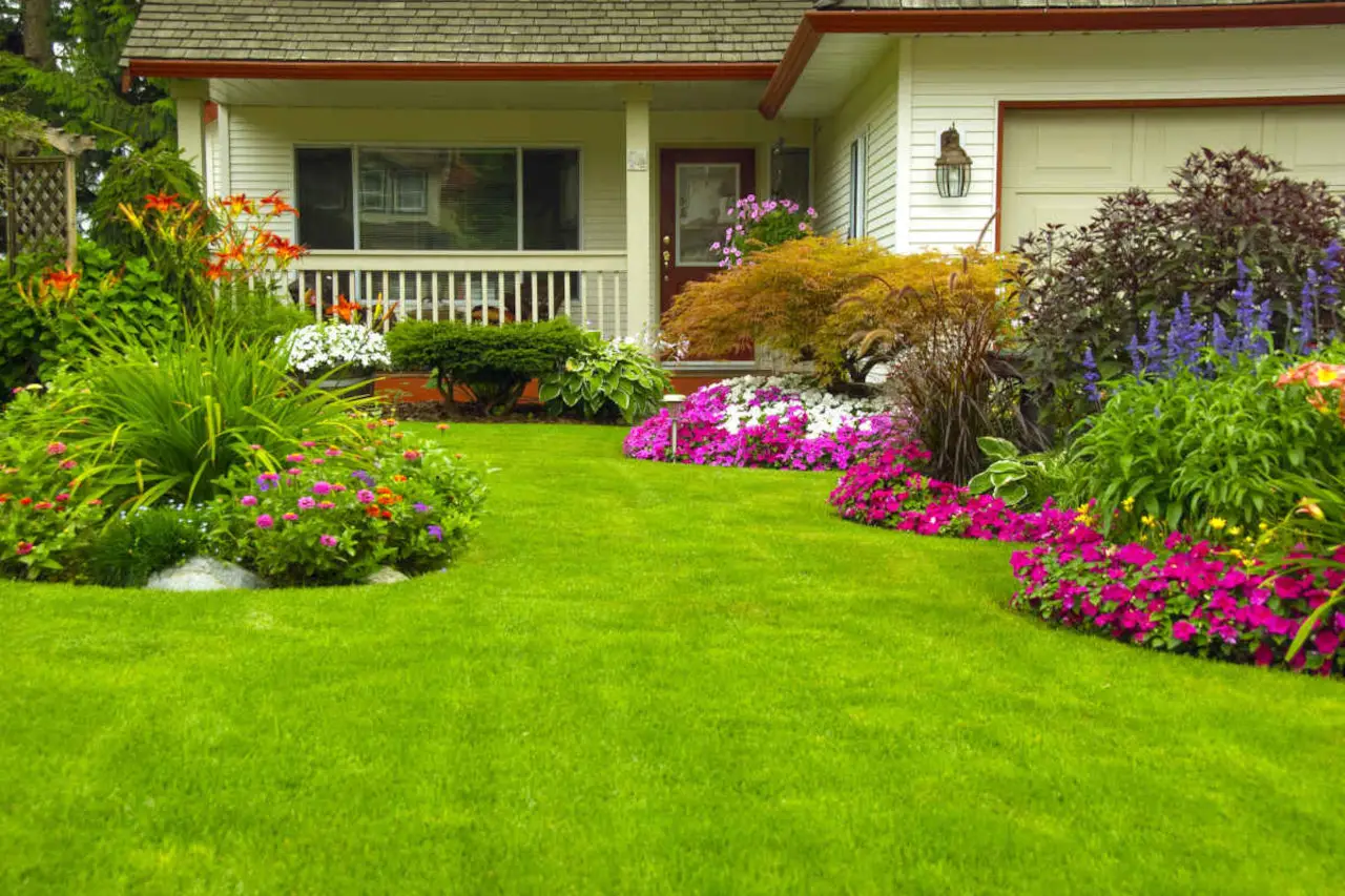 Giardino sempre perfetto senza fatica: 8 piante che resistono anche alla siccità Giardino sempre perfetto senza fatica: 8 piante che resistono anche alla siccità
