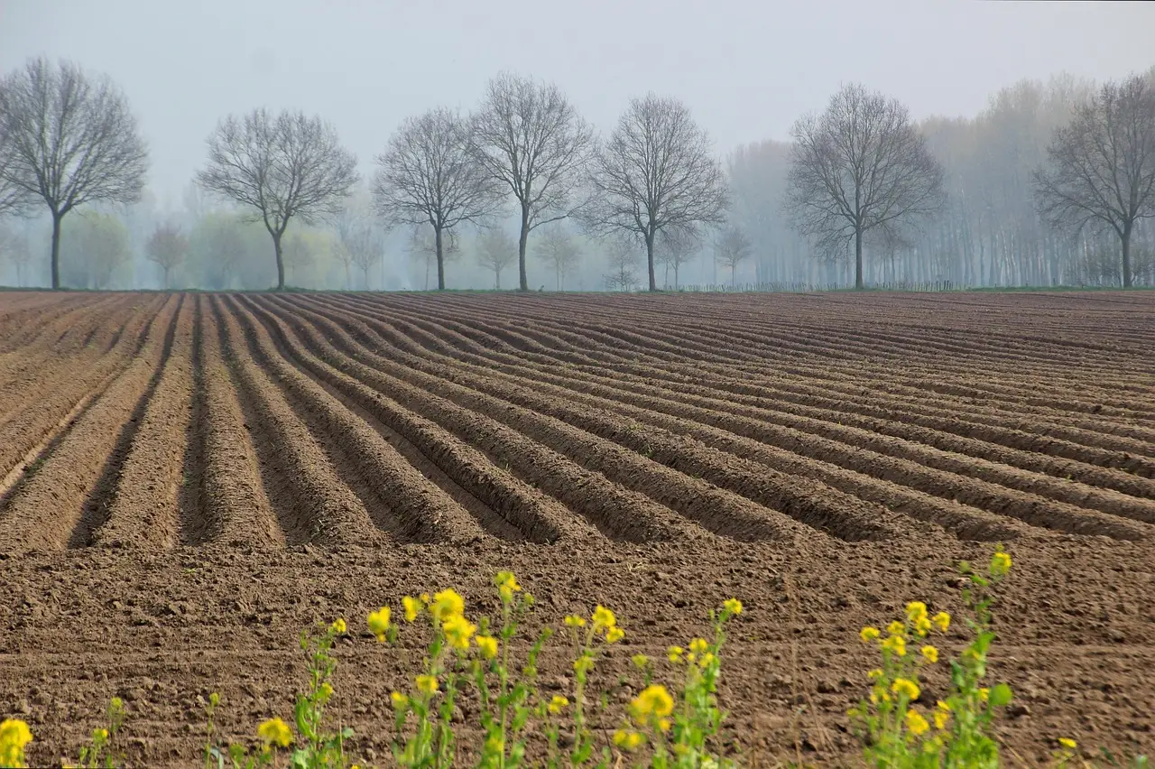 Metalli pesanti nel 15 per cento dei terreni agricoli: scatta l’allarme per la sicurezza alimentare Immagine selezionata