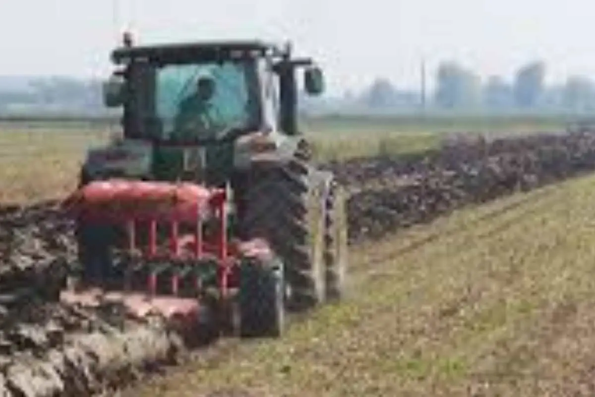 Metalli pesanti nel 15 per cento dei terreni agricoli: scatta l’allarme per la sicurezza alimentare Immagine selezionata