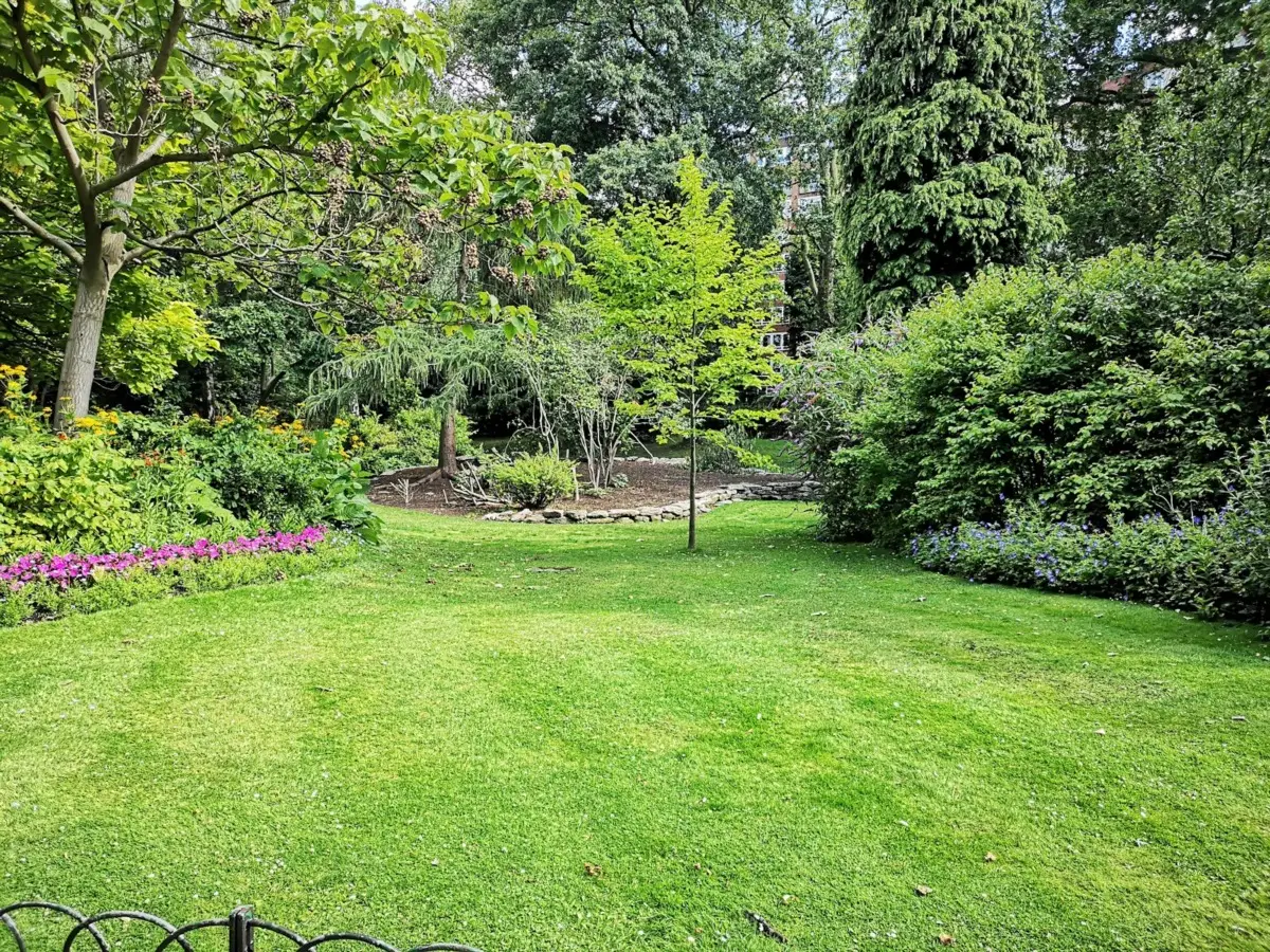 In arrivo un nuovo parco di tre ettari: scopri dove potrai rilassarti nella natura vicino alla città Immagine selezionata