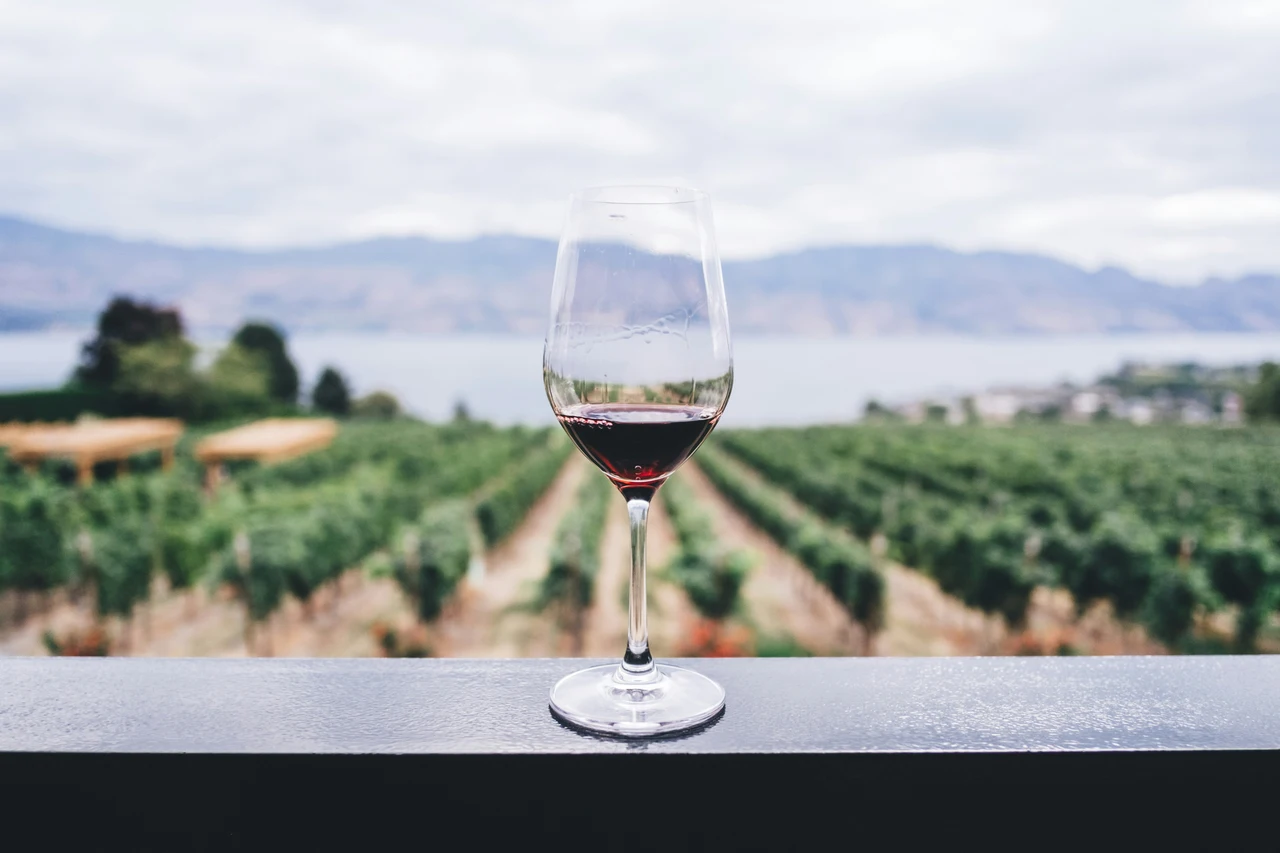 Allarme nei calici: sono stati scoperti livelli pericolosi di sostanze tossiche nei vini più amati Immagine selezionata