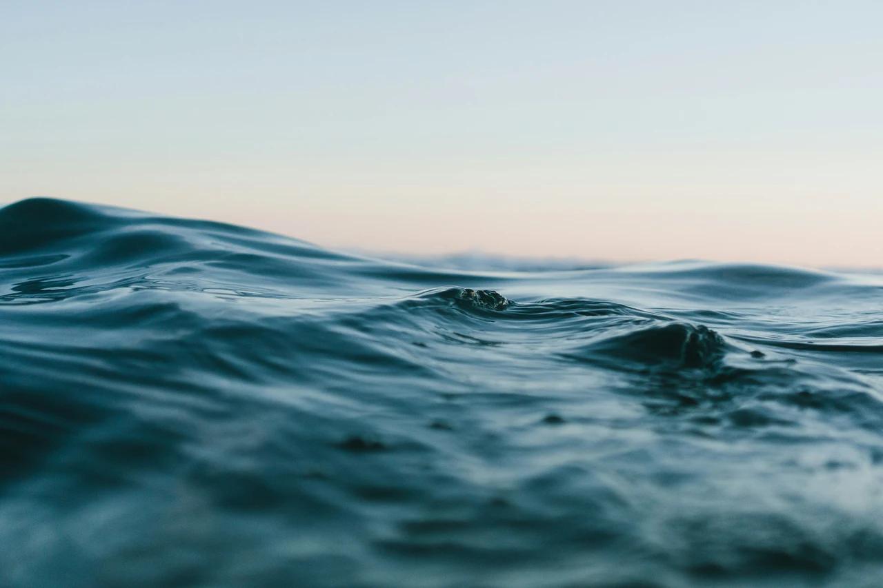 La legge salva-mare: il piccolo alleato che rivoluziona la tutela degli oceani Immagine selezionata