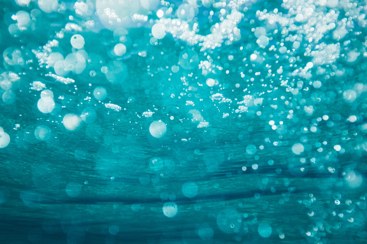 La legge salva-mare: il piccolo alleato che rivoluziona la tutela degli oceani Immagine selezionata