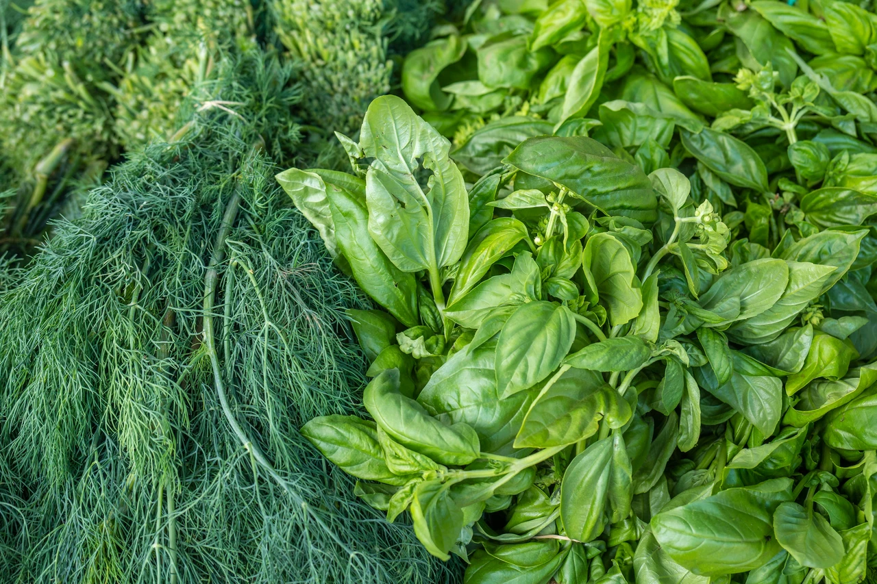 Come riconoscere spinaci pronti per la raccolta Immagine selezionata