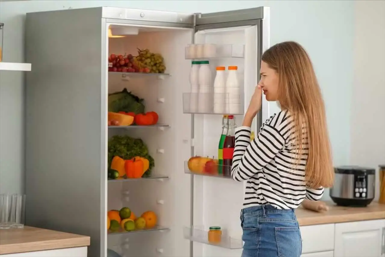 Guida alla pulizia delle guarnizioni del frigorifero per prevenire la formazione di muffa Immagine selezionata