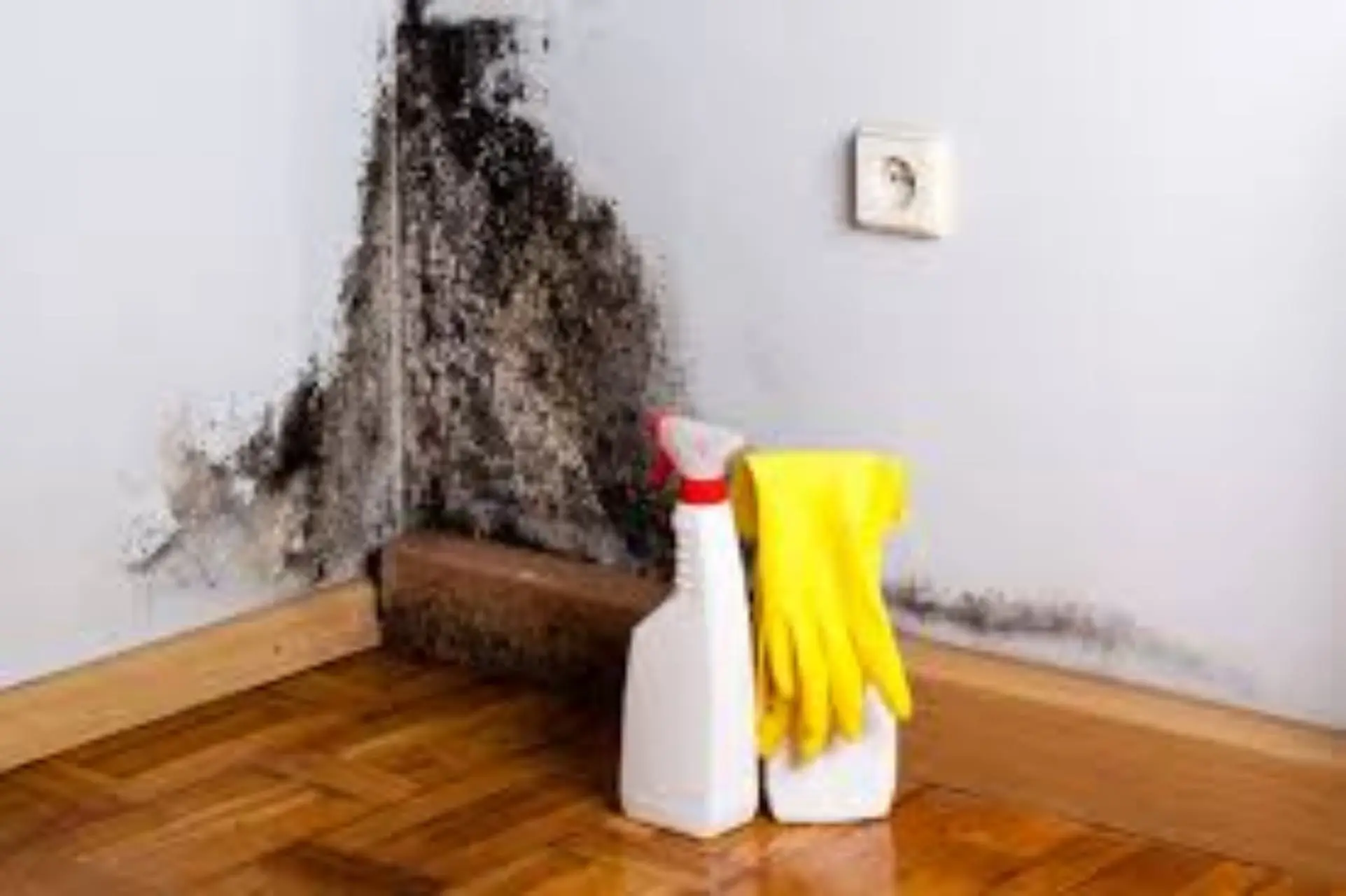 Cinque oggetti da pulire facilmente con l’aceto di mele Immagine selezionata