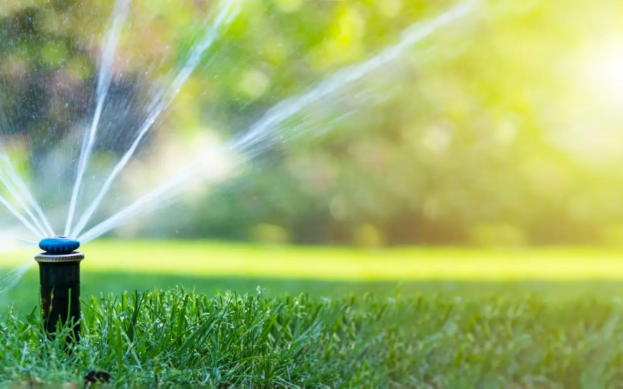 Il pH del terreno può ostacolare lo sviluppo delle piante Il pH del terreno può ostacolare lo sviluppo delle piante