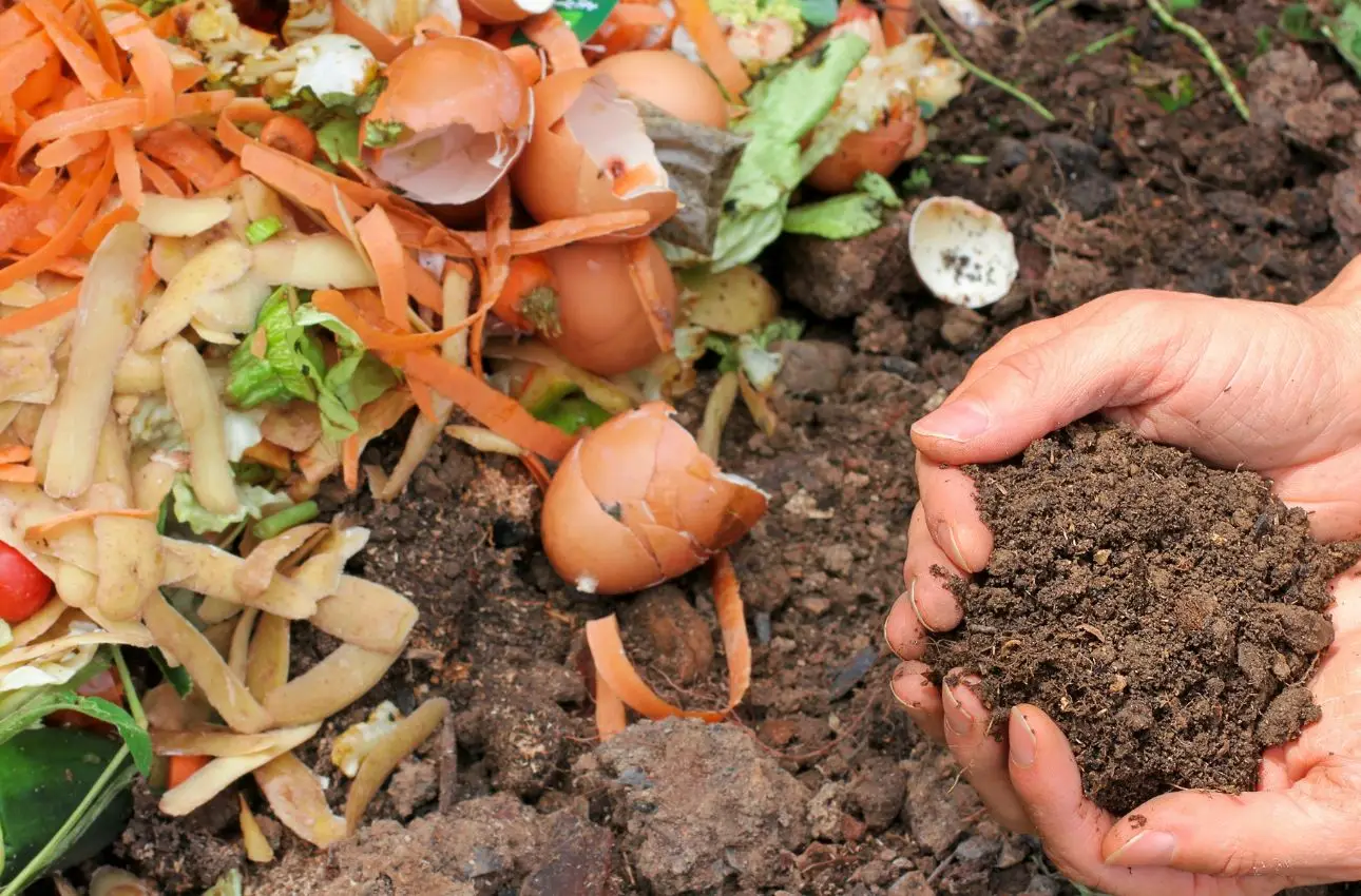 Aerazione del compost fondamentale per evitare cattivi odori Aerazione del compost fondamentale per evitare cattivi odori