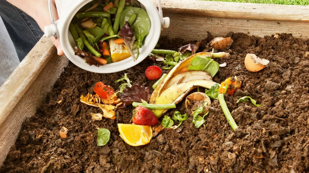 Aerazione del compost fondamentale per evitare cattivi odori Aerazione del compost fondamentale per evitare cattivi odori