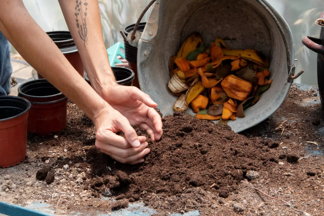Aerazione del compost fondamentale per evitare cattivi odori Aerazione del compost fondamentale per evitare cattivi odori