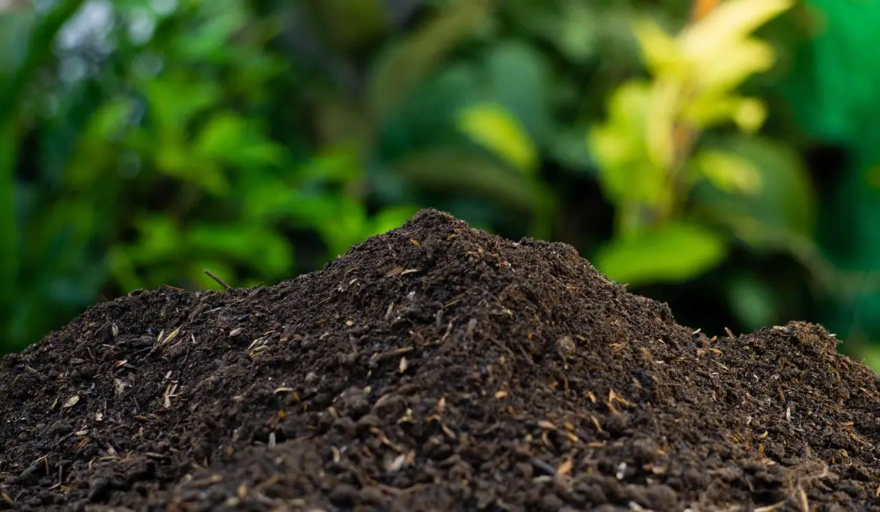 Aerazione del compost fondamentale per evitare cattivi odori Aerazione del compost fondamentale per evitare cattivi odori