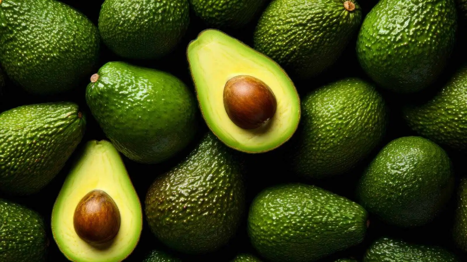 Consumare avocado ogni giorno può provocare squilibri nell’organismo? Consumare avocado ogni giorno può provocare squilibri nell’organismo?