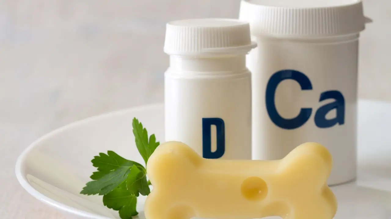 Cosa mangiare per favorire il benessere delle ossa dopo i 50 anni SC - Alimenti ricchi di calcio e ossa