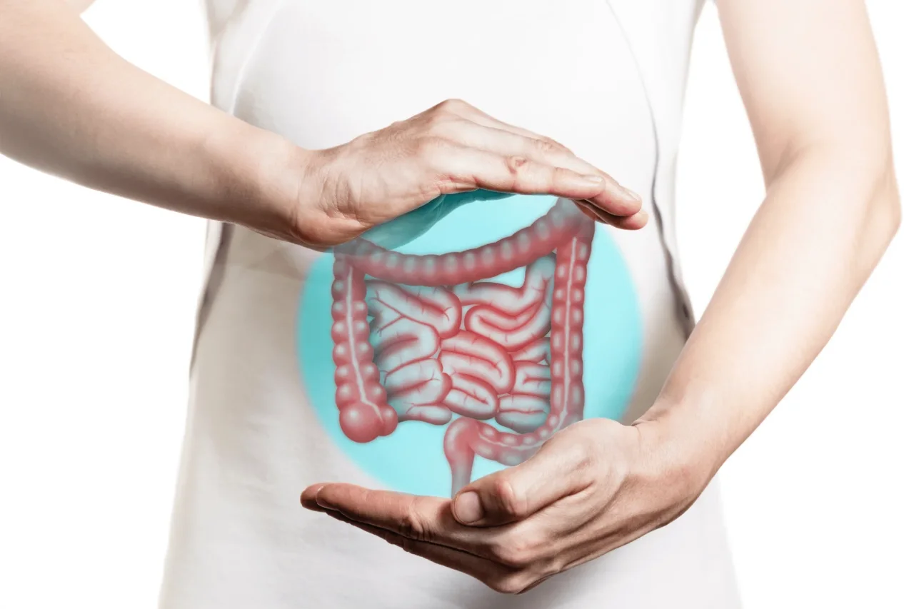 Come stimolare la digestione dopo un pasto pesante Come stimolare la digestione dopo un pasto pesante